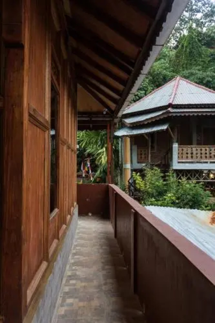 Rain Forest Guest House