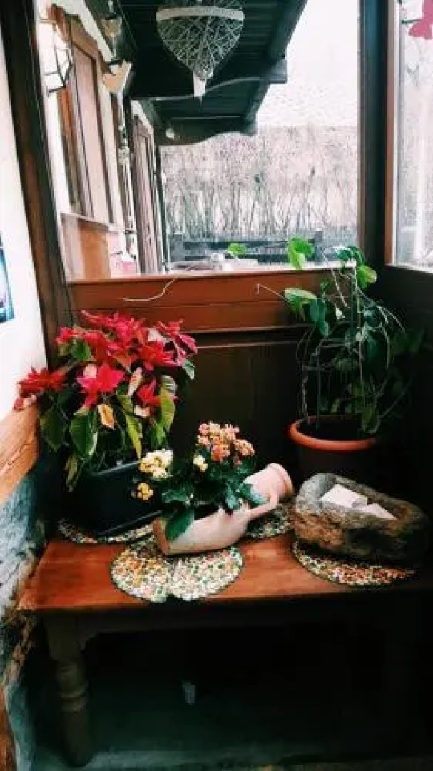 Affittacamere Genzianella