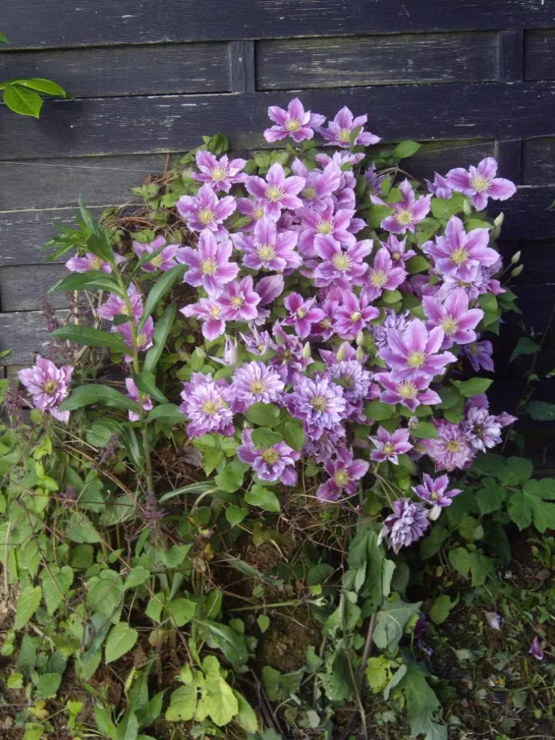 La Grange Des Marettes