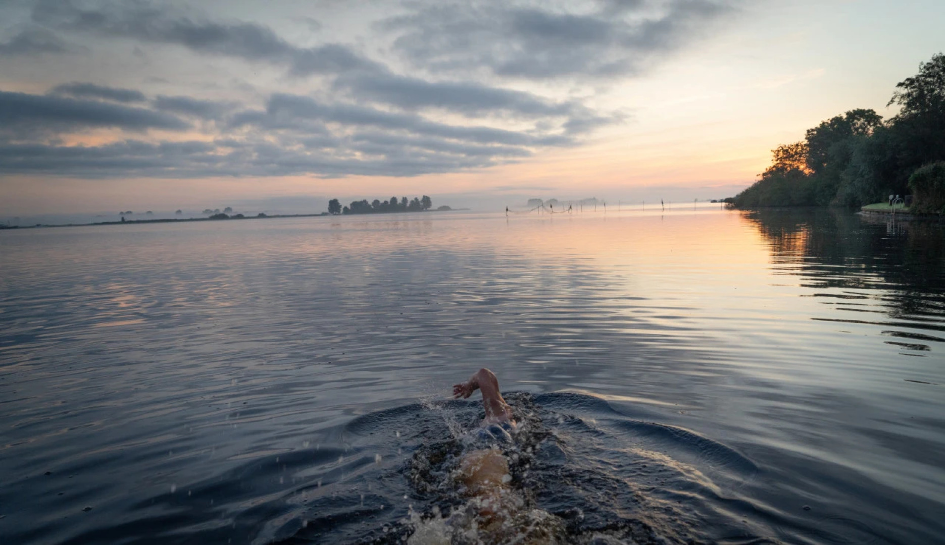 Swarm - 3 Waterlodges Naast Elkaar in Friesland
