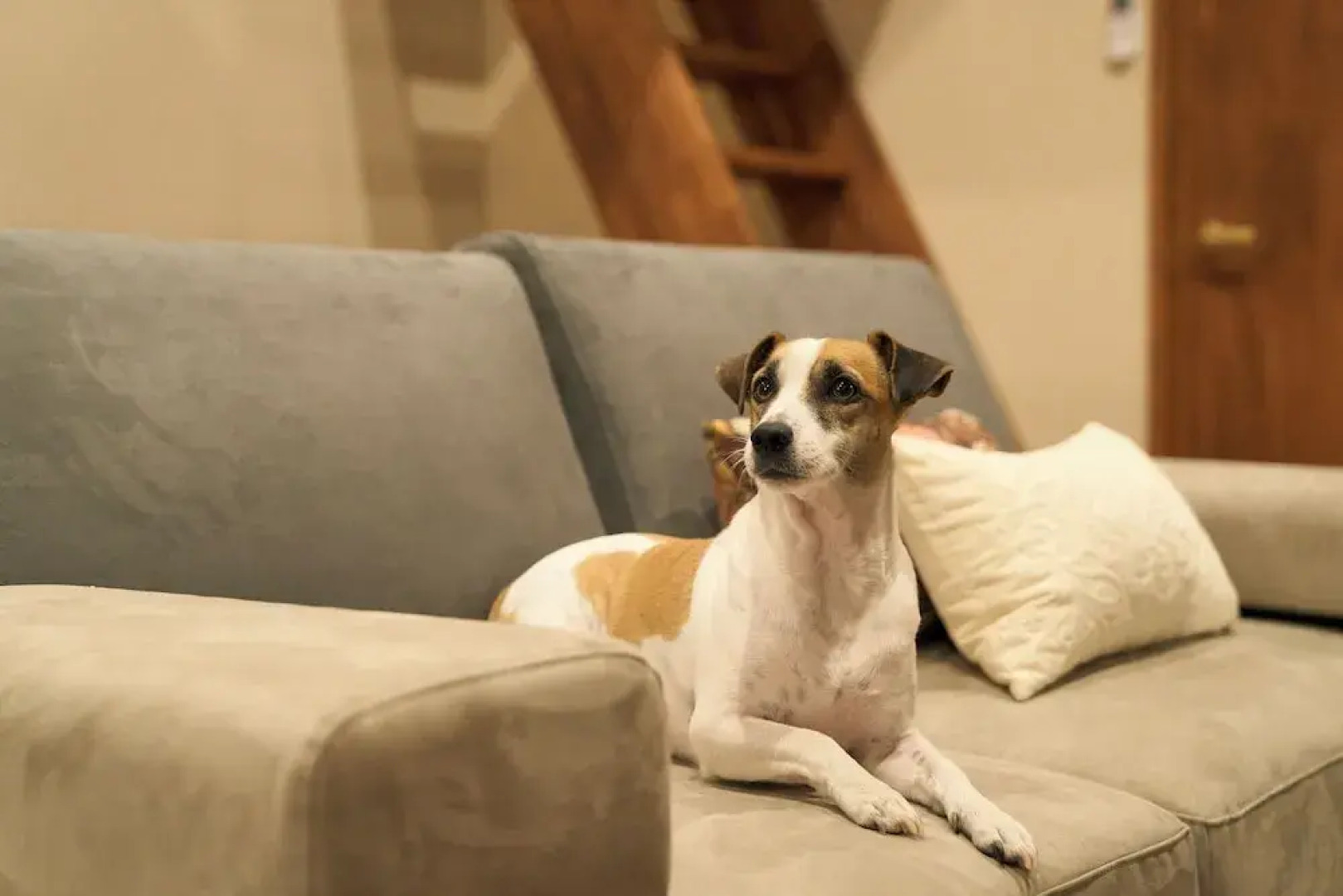 VILLA SENSE kujukuri