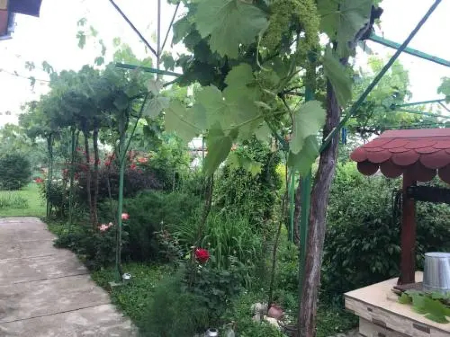 Guesthouse Planinsko Gnezdo