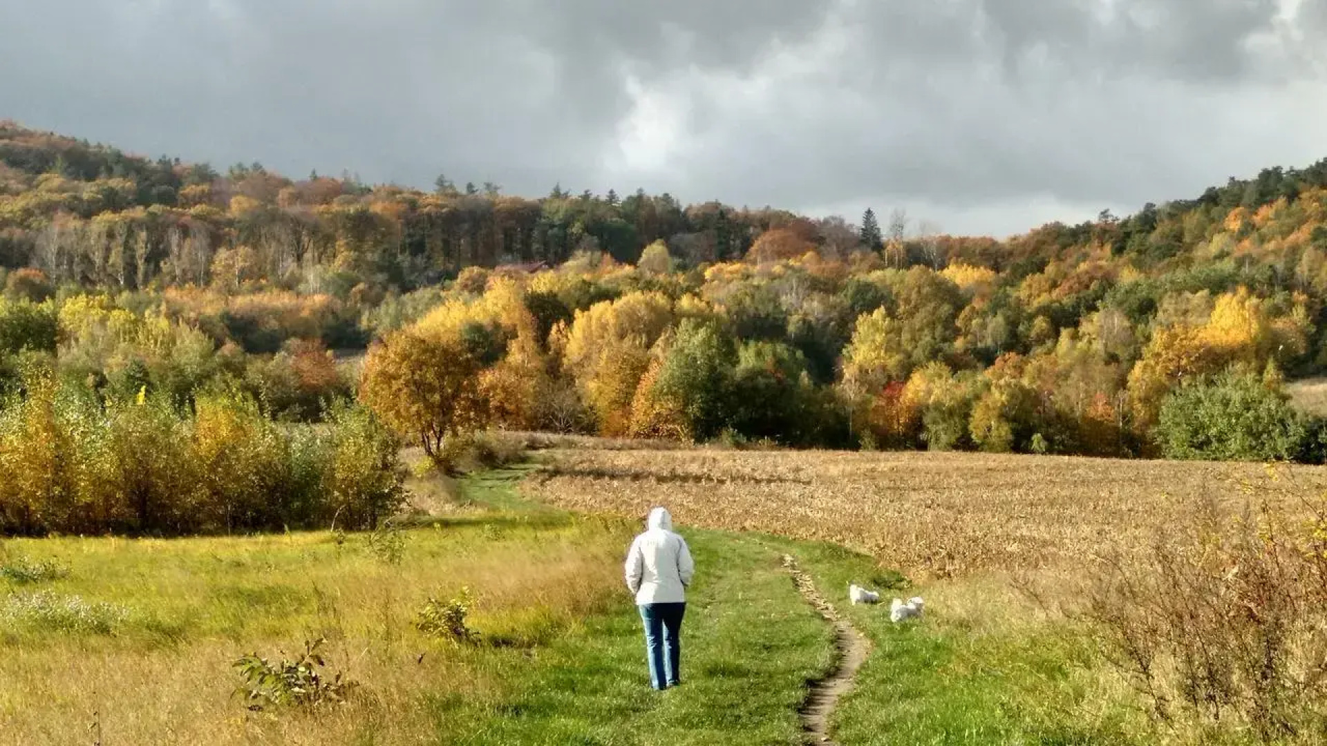 Słoneczne apartamenty