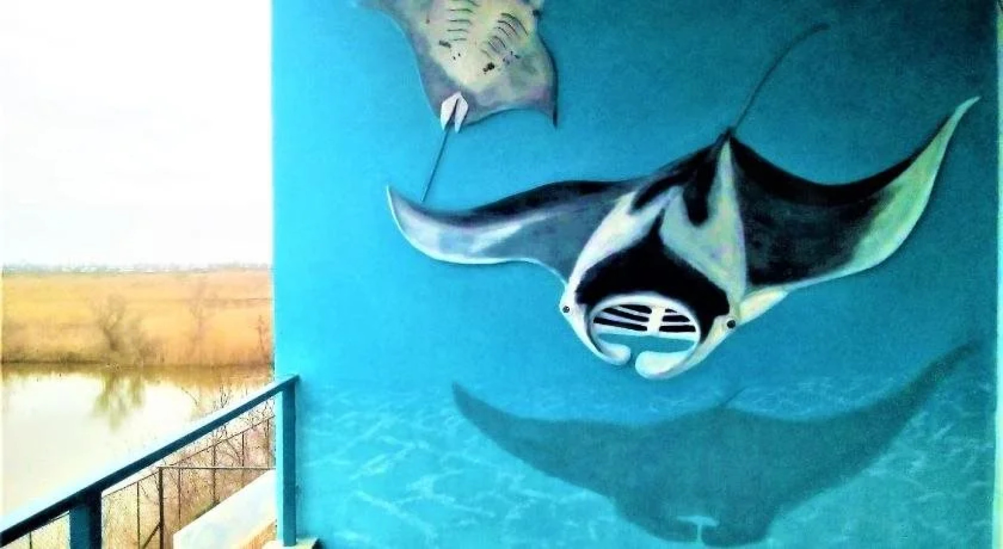 АзовСафаре