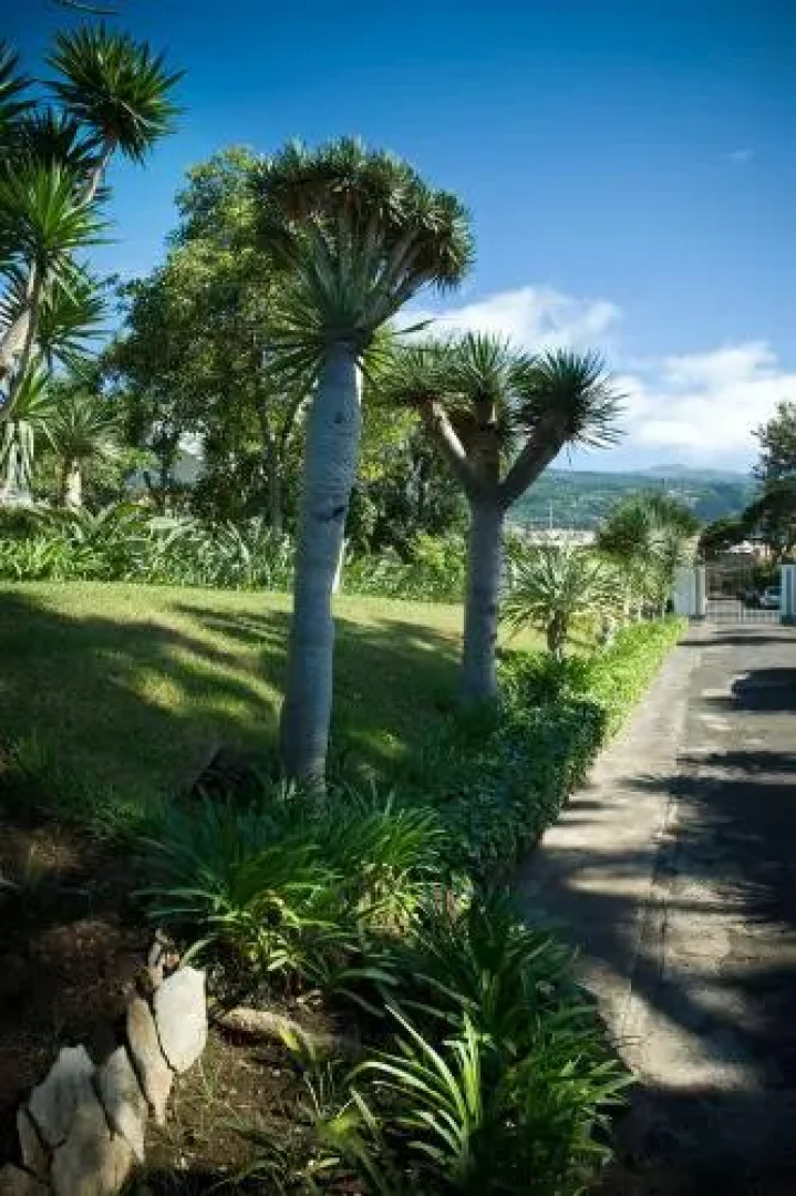 Villa Finca El Drago