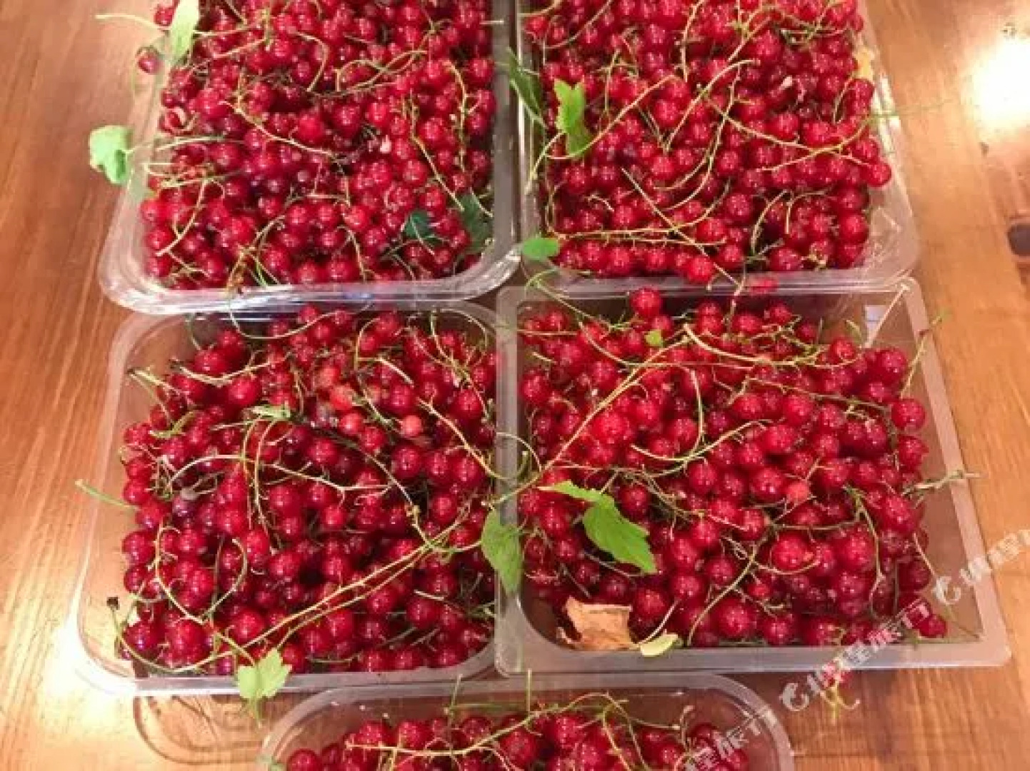 Bedrule Old Manse B&B