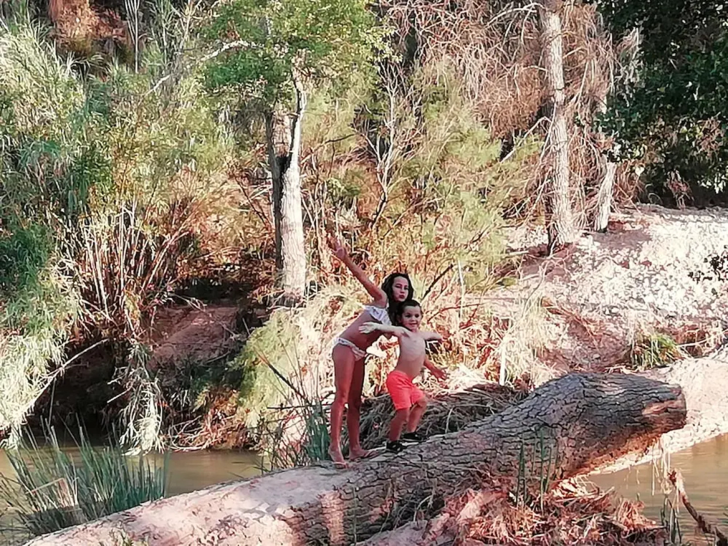 Casas Rurales Puente Del Segura