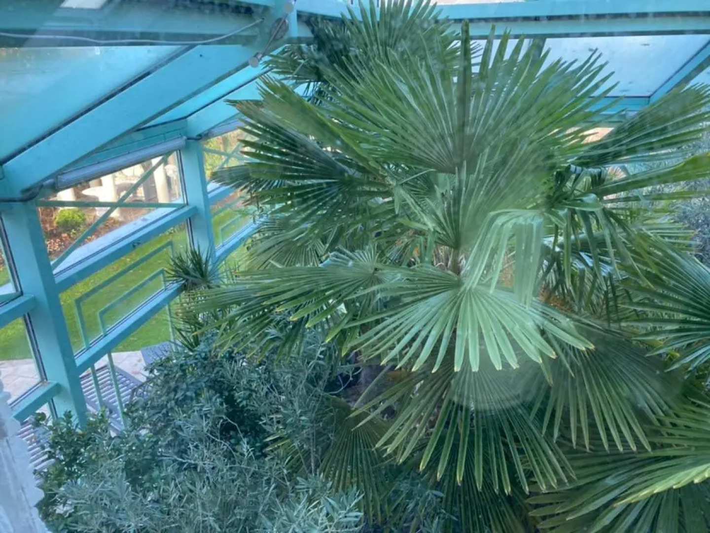 Wilsmann Apartmentvermietung