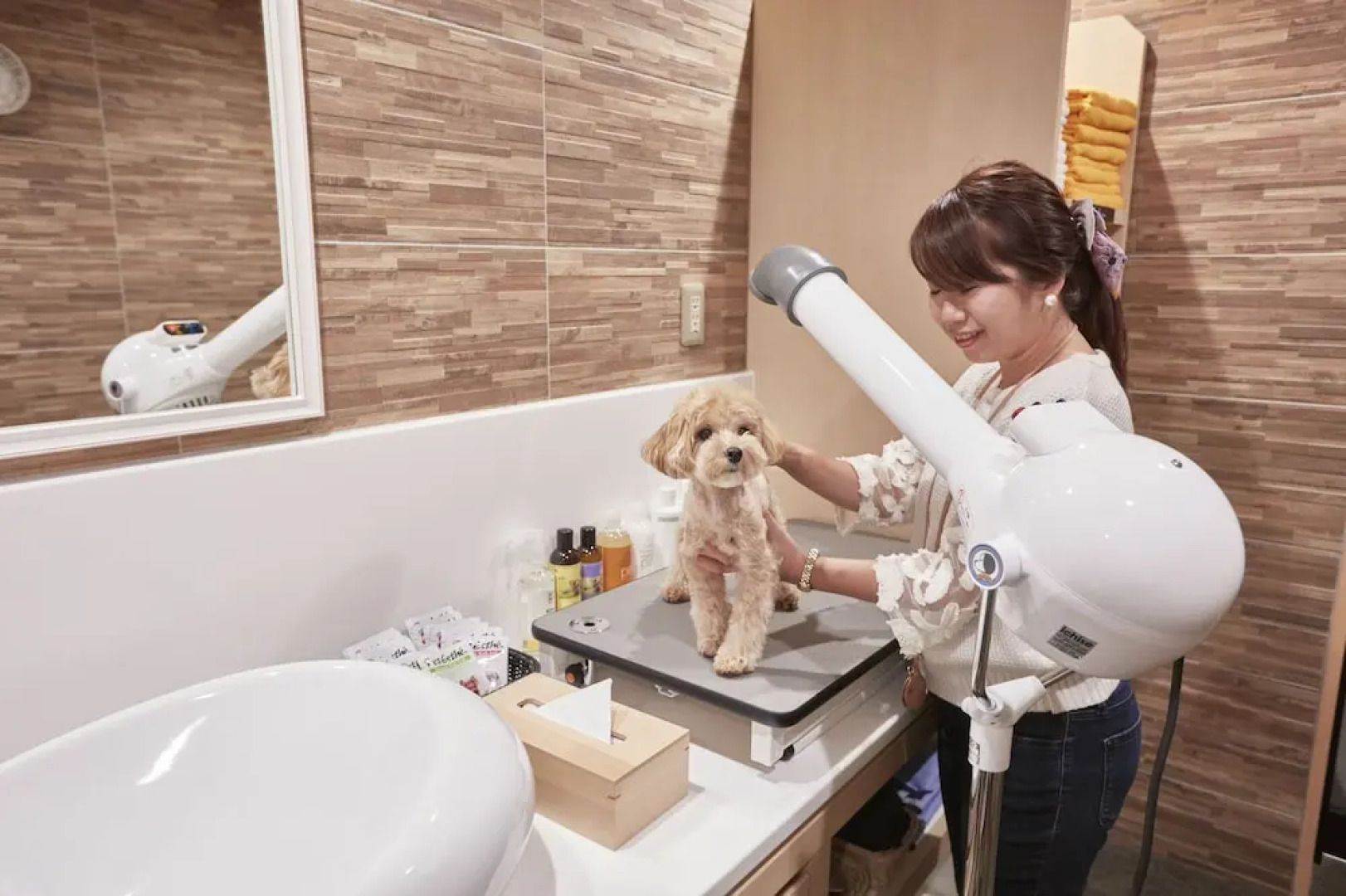 Le Chien Kyuu Karuizawa