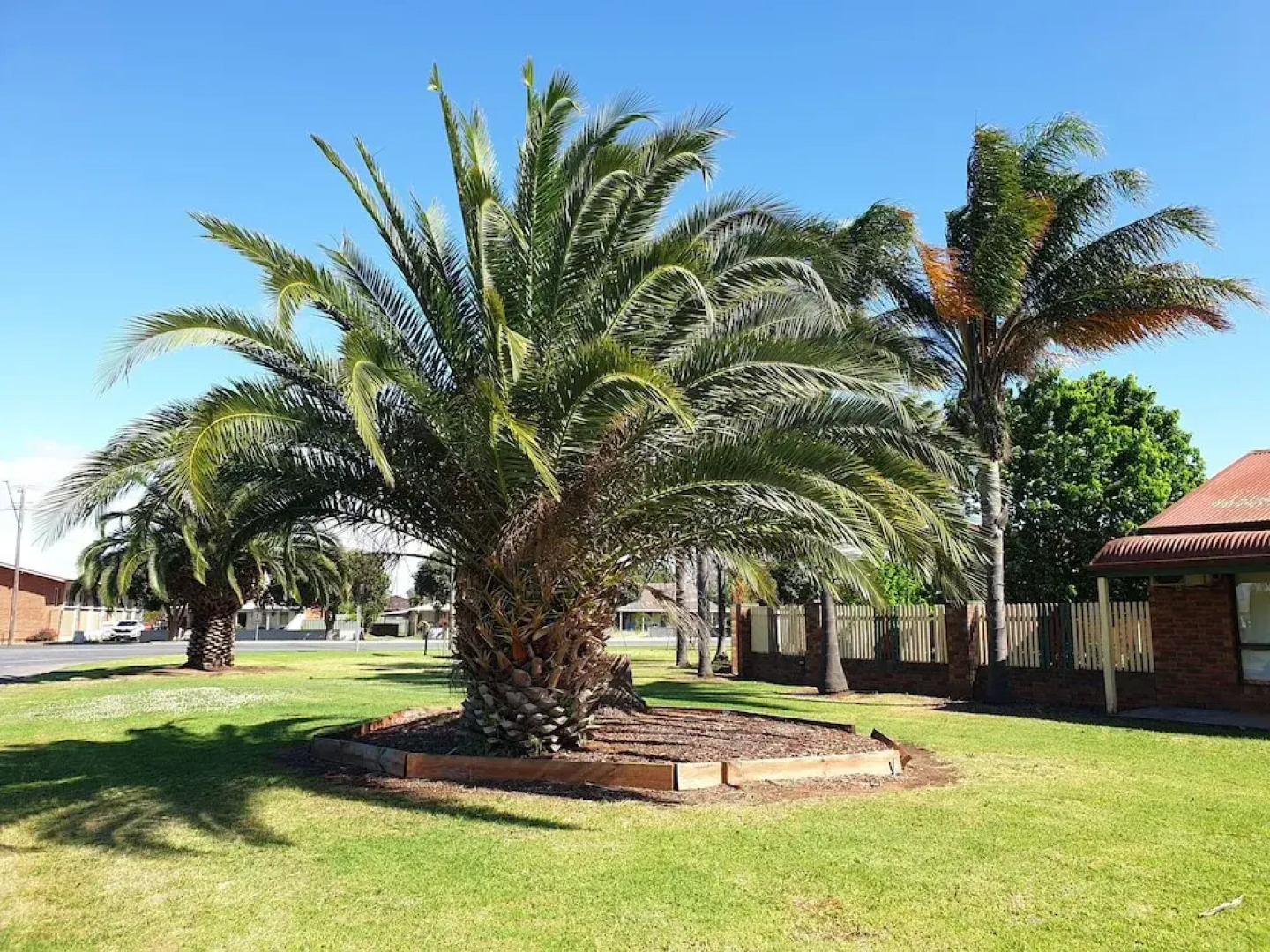 Finley Palm Motor Inn