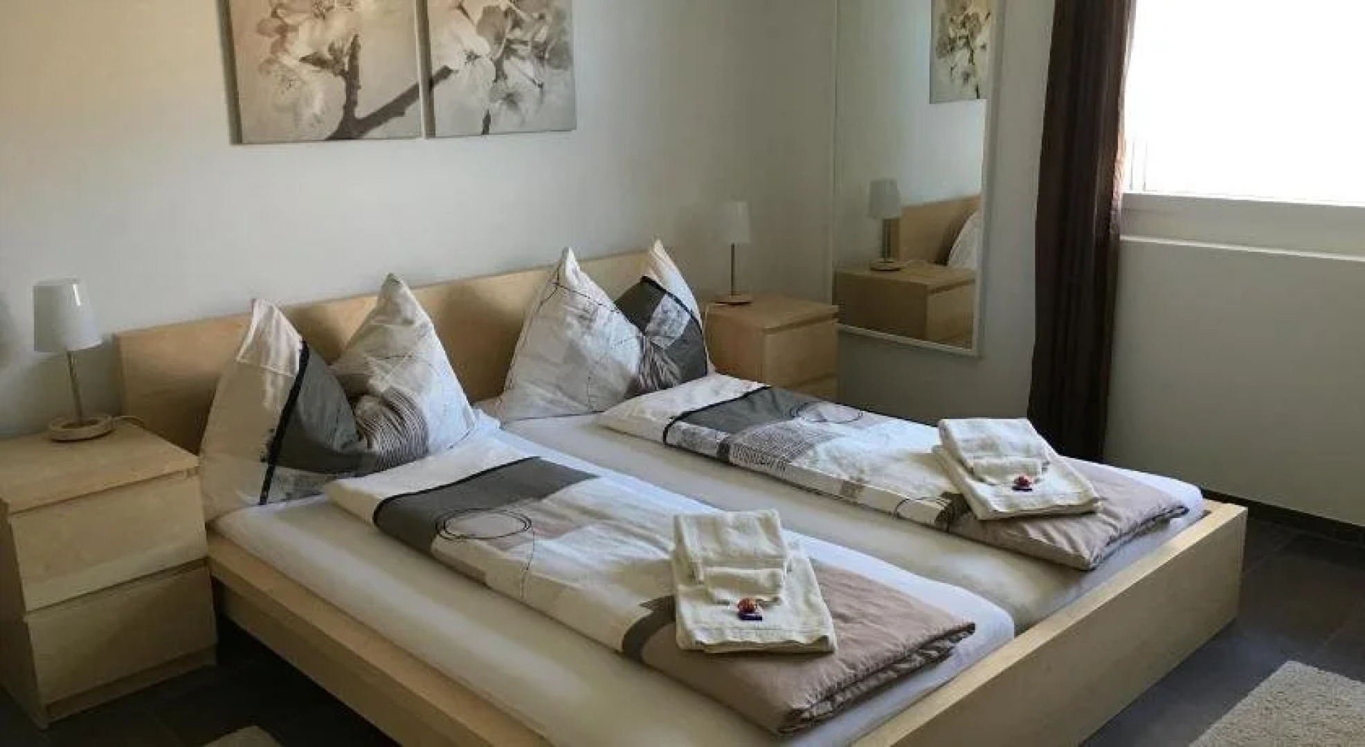 Swiss Lakeview Apartment