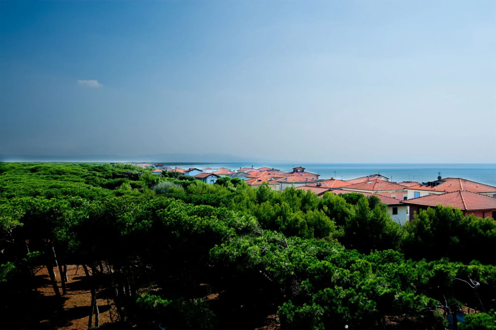 Vintage Hotel Tornese - Business & Events