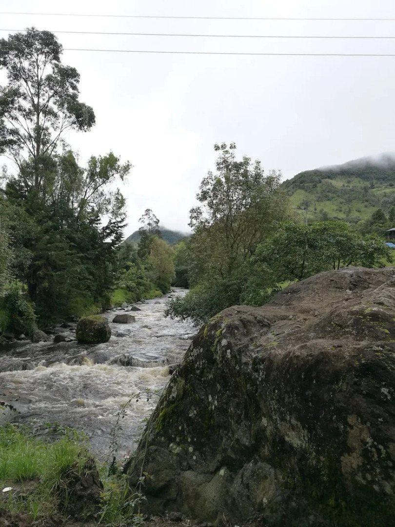 Cabañas Tipicas De Silvia