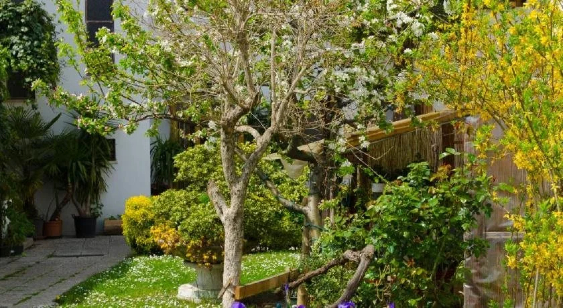 Albergo Ristorante Borghese