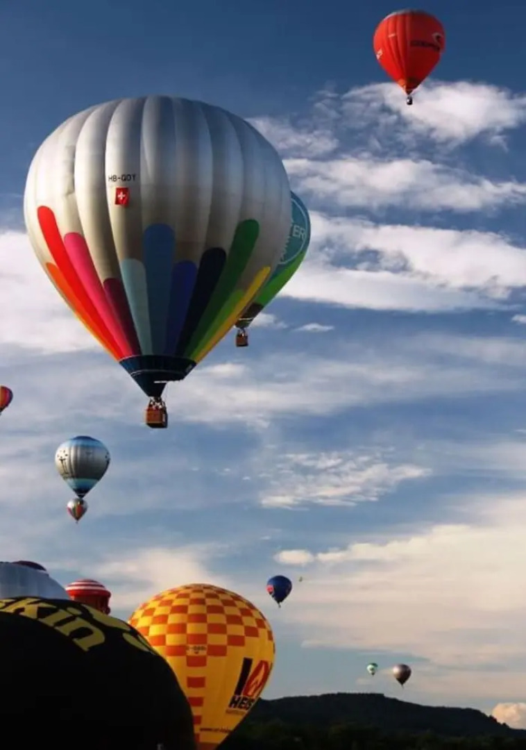 Riesling Apartment on the Moselle Terrace