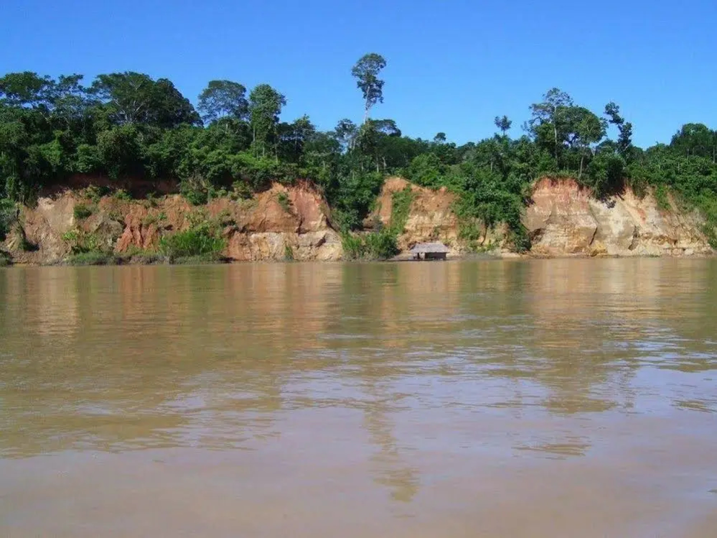 Caoba Lodge Tambopata