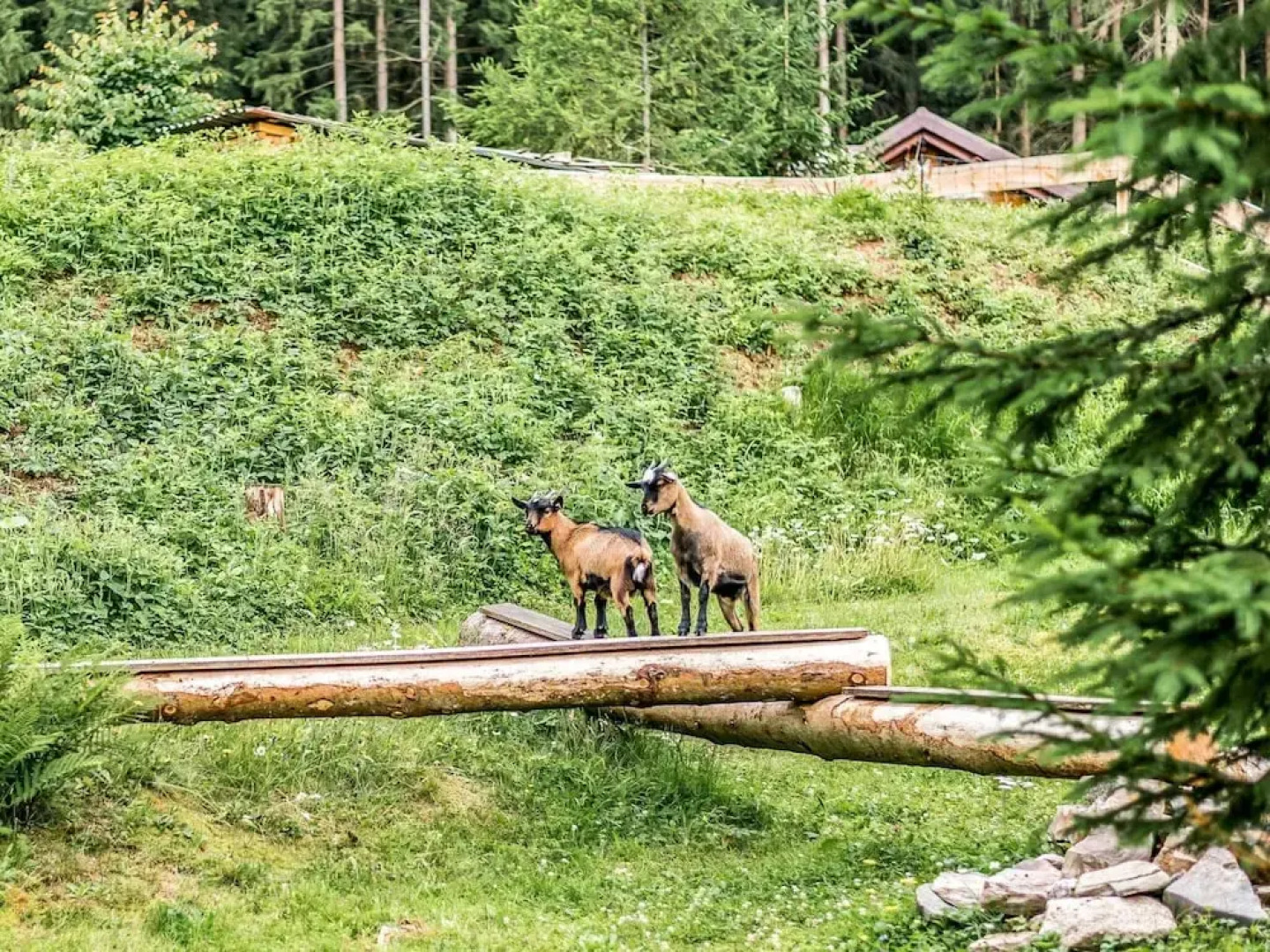 Luxurious Apartment in Jagersgrun With Saunas