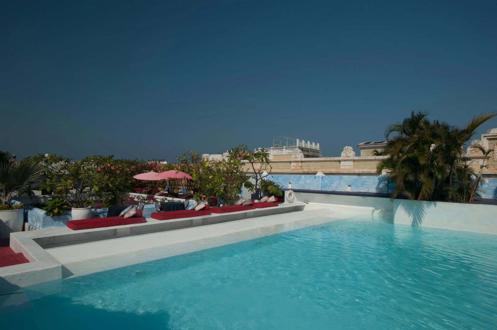 La Passion by Masaya Collection