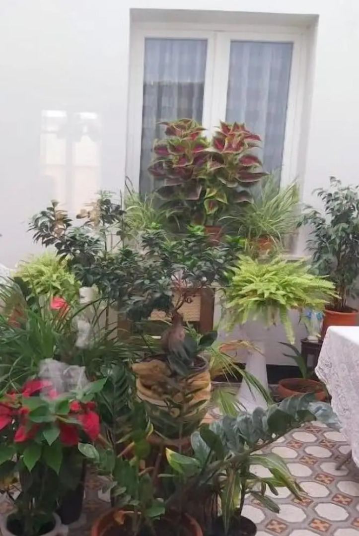 Palazzo al Carmine Dimora Storica