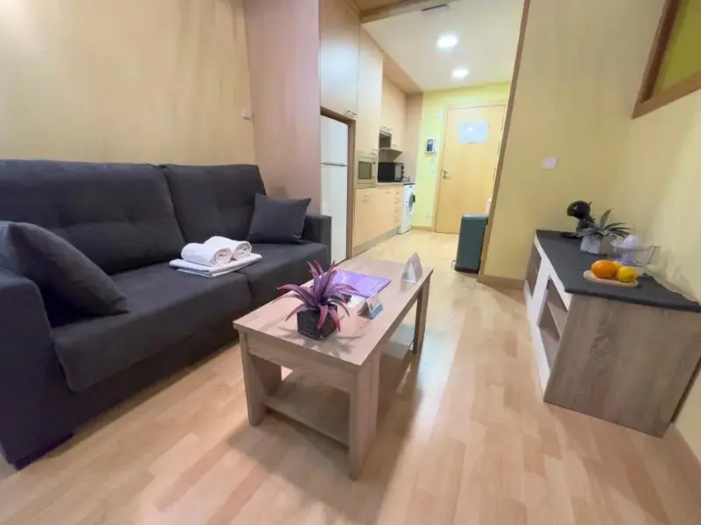 Apartamentos Princesa Park 3000