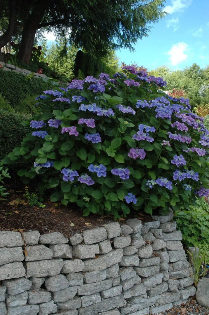 At The Shore Bed and Breakfast