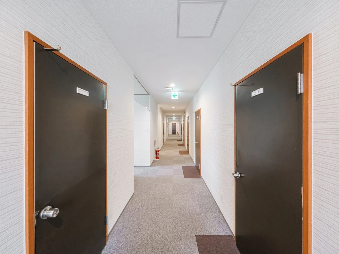 Tabist Shun Hidaka Biratori