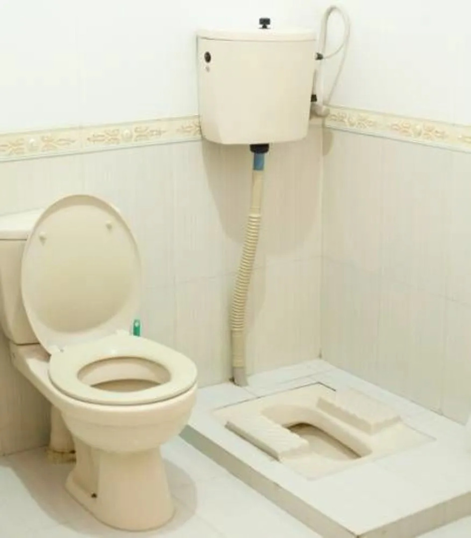 Elegant Palace Guest House