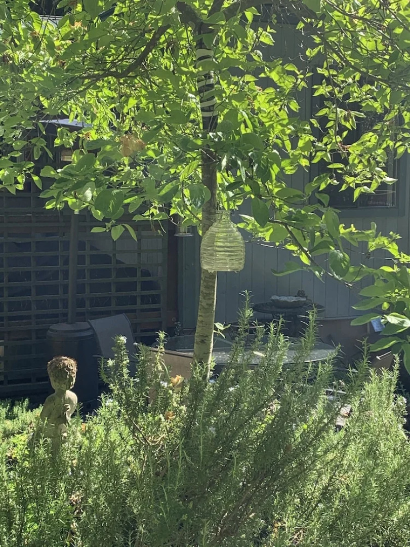 Salt Spring Carriage House B&B