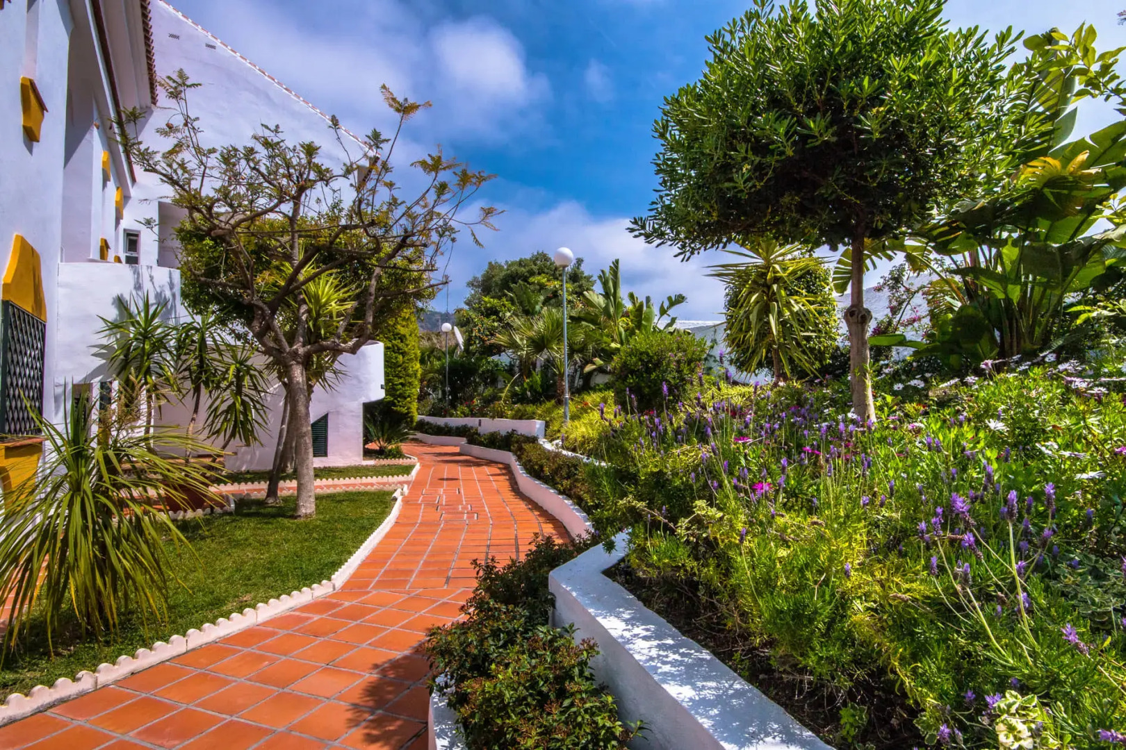 Apartamentos Turísticos Las Rosas de Capistrano