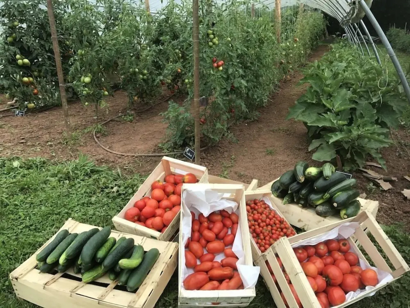 Cap France Terrou Gites