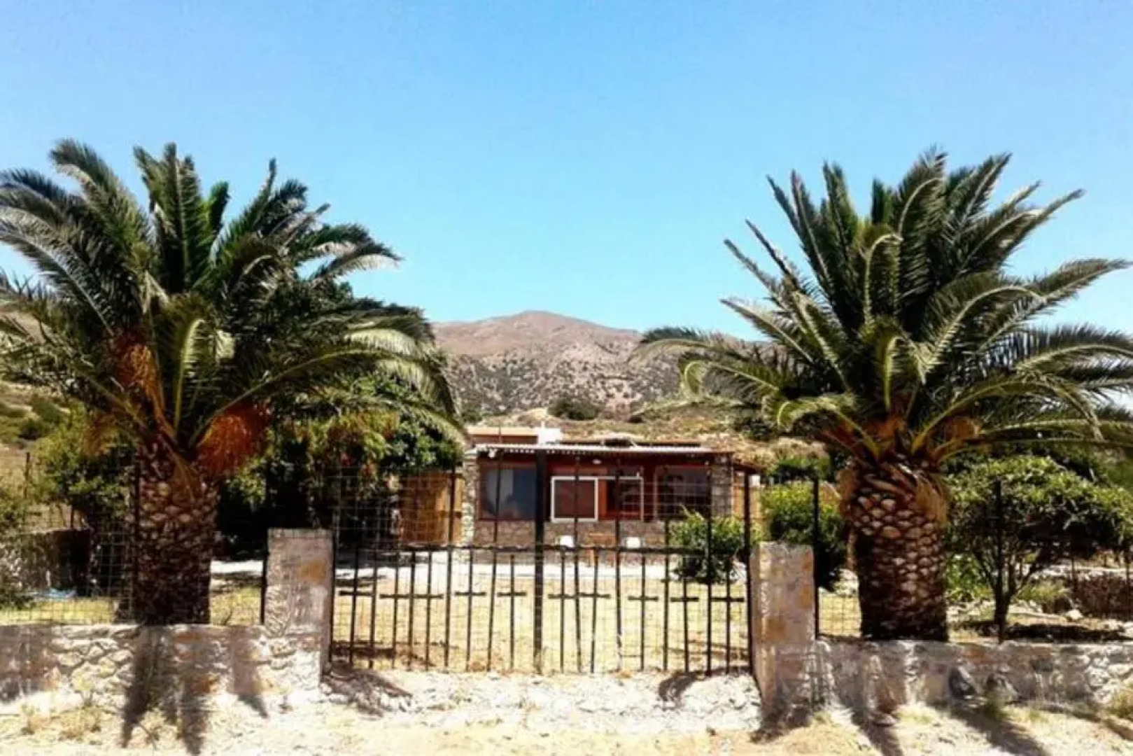 Antonis's Palm House