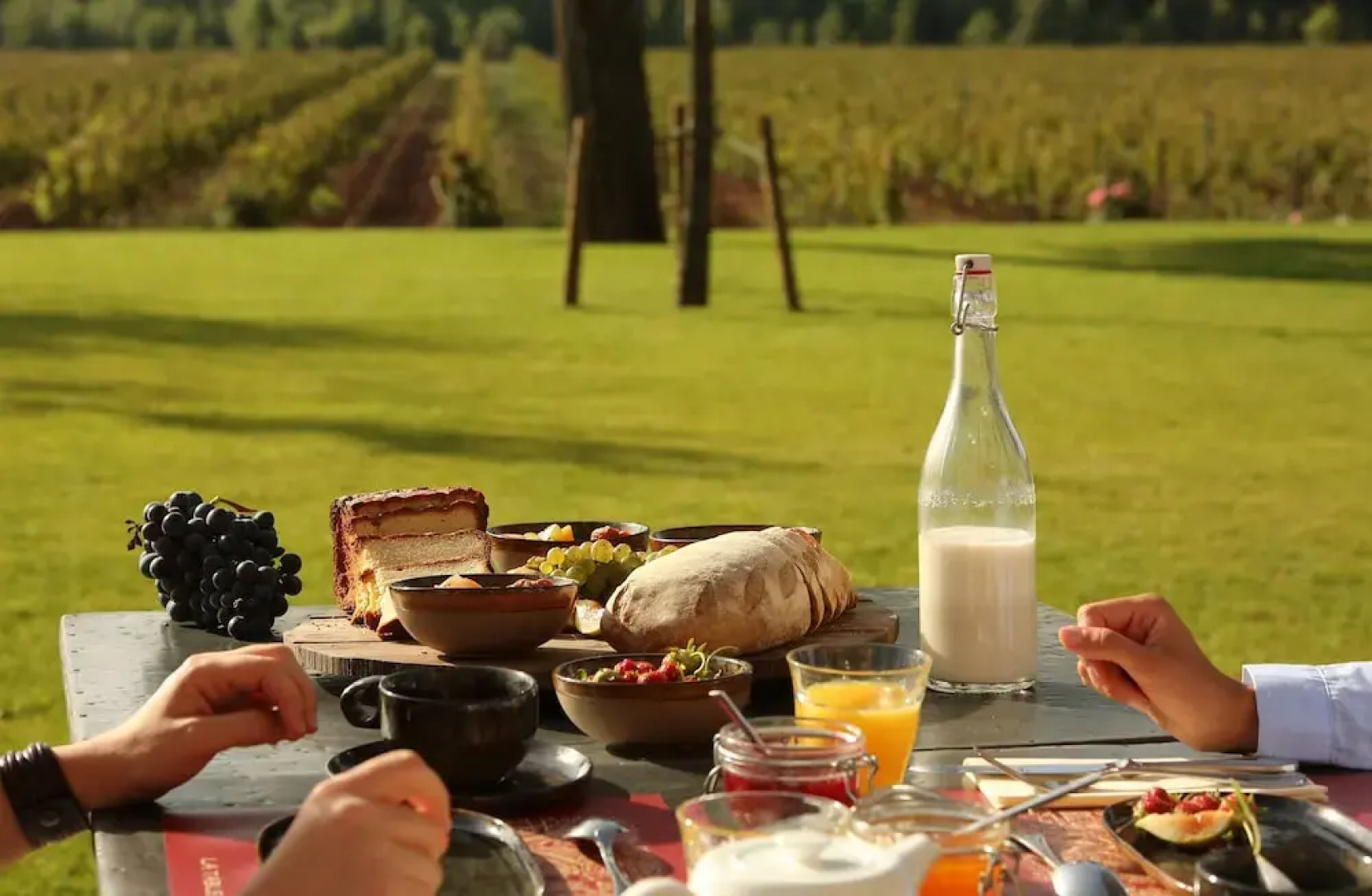 Château Saint-Roux Le Luc- Le Cannet des Maures