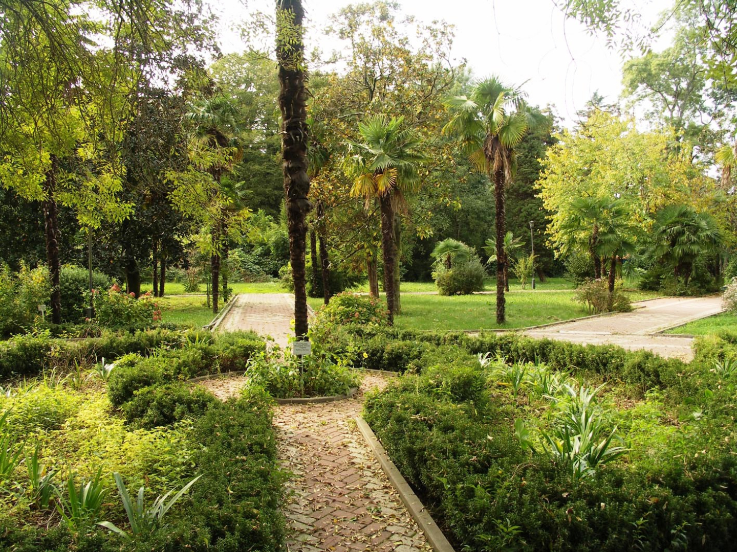 Санаторий «Известия»