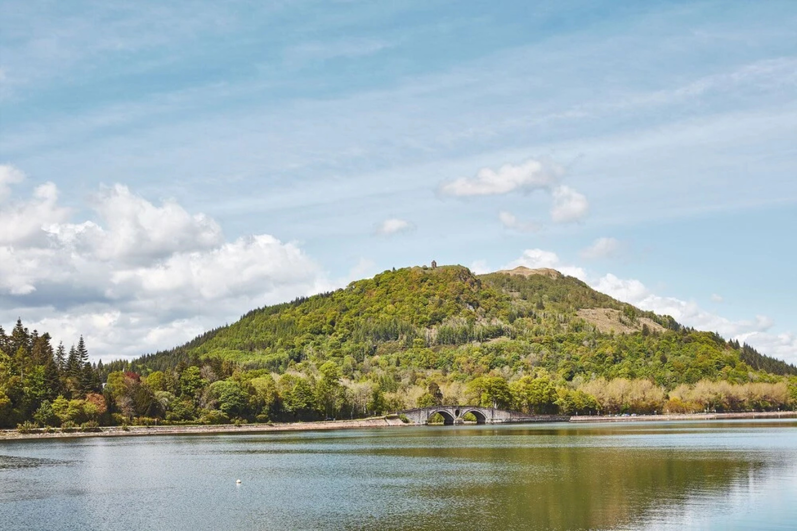 Brambles of Inveraray