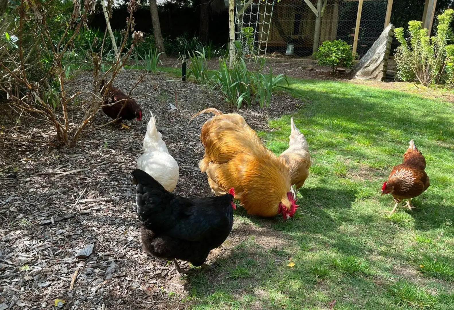 Banyula Annex - stylish and contemporary retreat