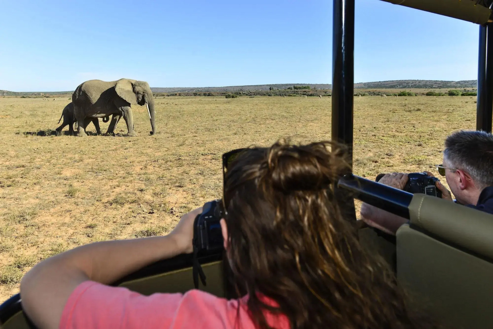 Shamwari Eagles Crag