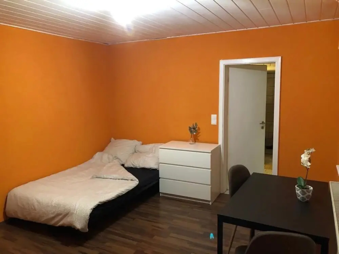 Heidelberg Monteurapart