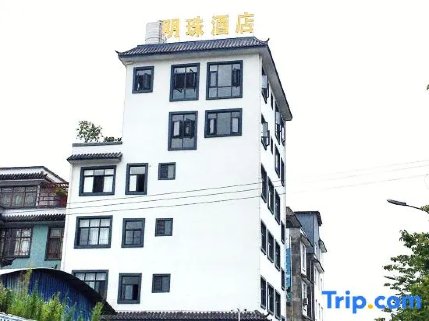 Pearl Hotel (Wuhu Park)