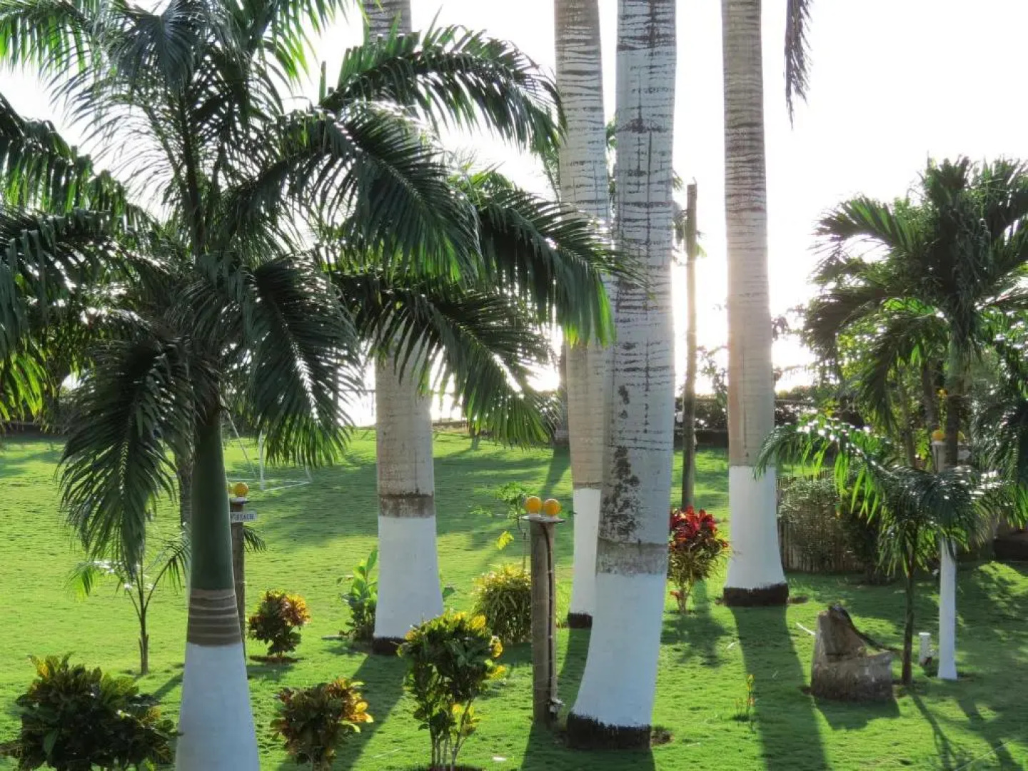 Hotel Puerto Ballesta