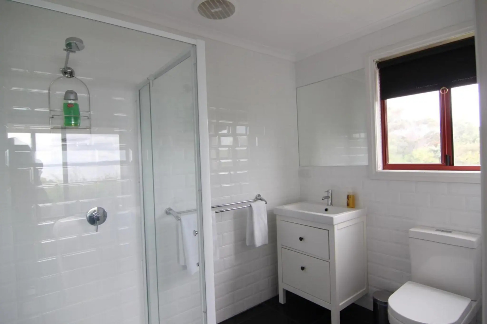 DOLPHIN LOOKOUT COTTAGE - amazing views of the Bay of Fires