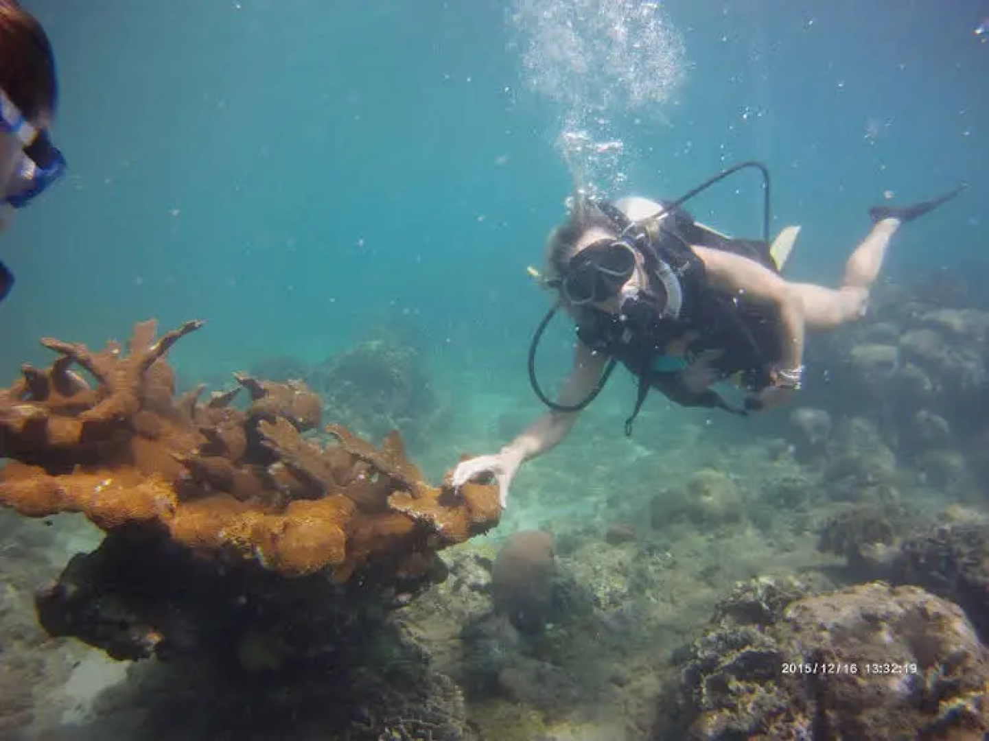Scuba Portobelo