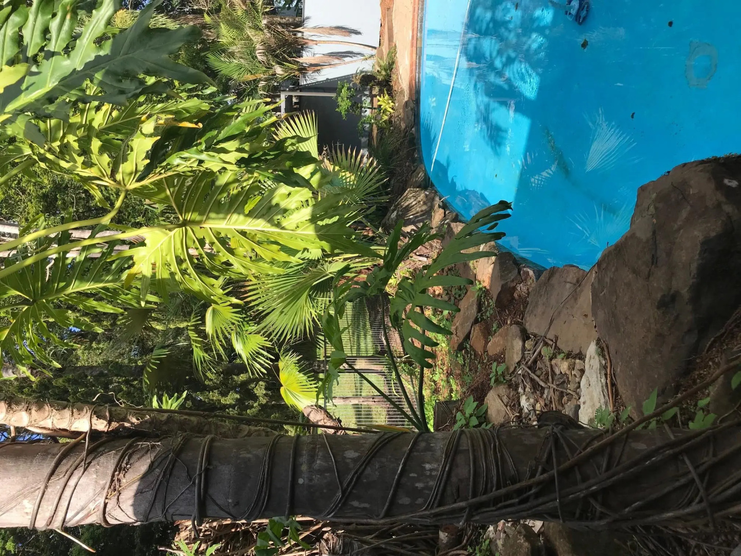 Tanglewood Gardens Rainforest Retreat