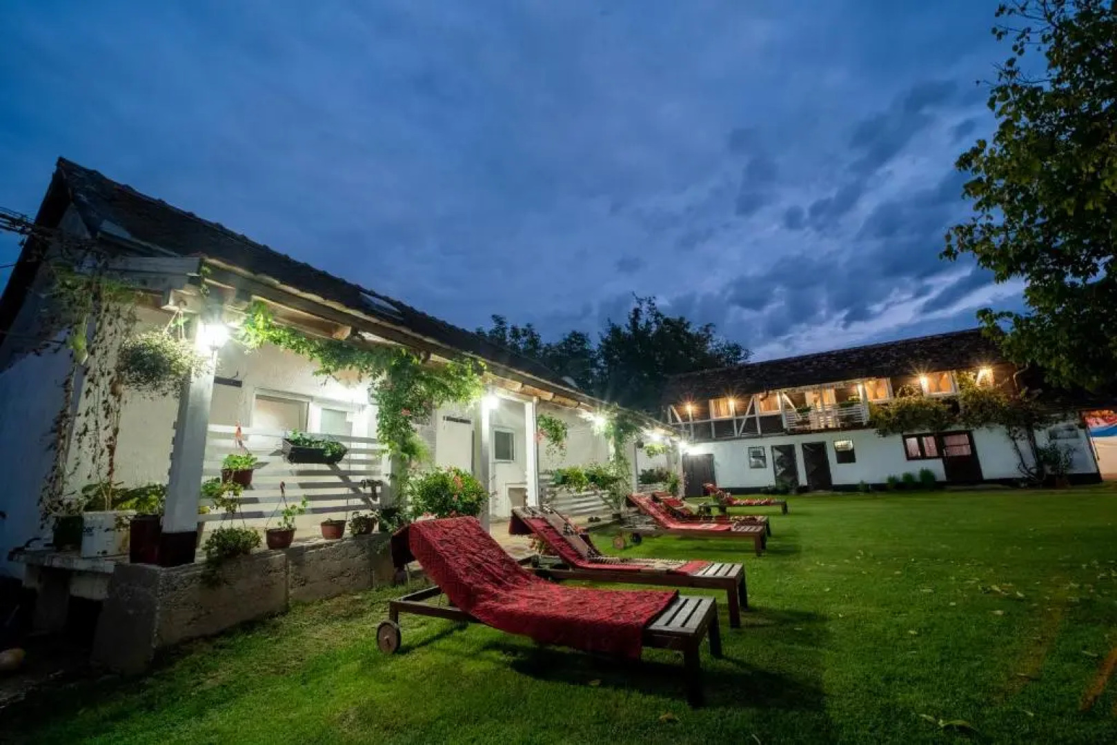 Domacinstvo Cikic Zasavica