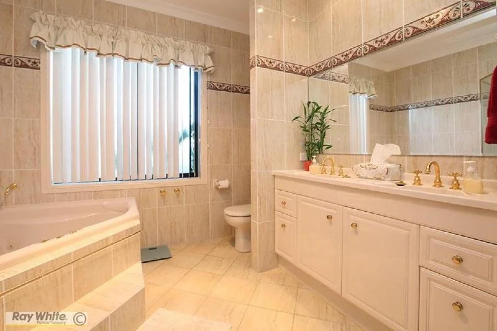 Cape View Manor Bed & Breakfast