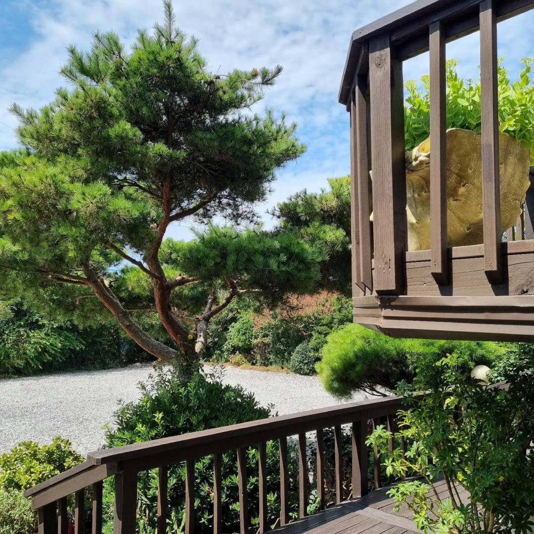 Anmyeondo Bada Sarang Naksi Pension