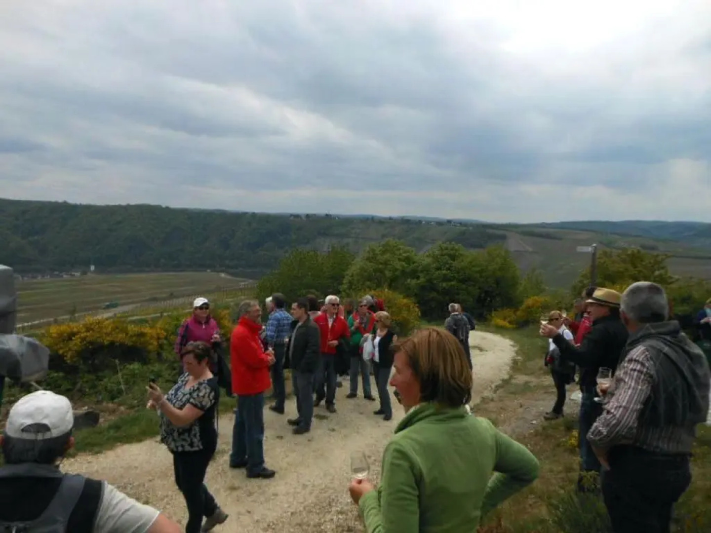 Holiday Home Weingut Mertes