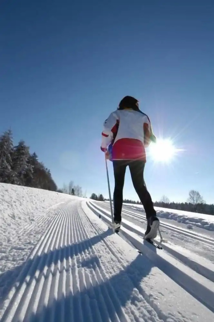 Hotel Gasthaus Zum Kellermann