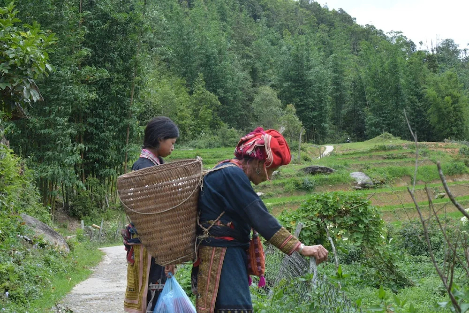 Sapa Homestay Trekking Tour For Backpackers