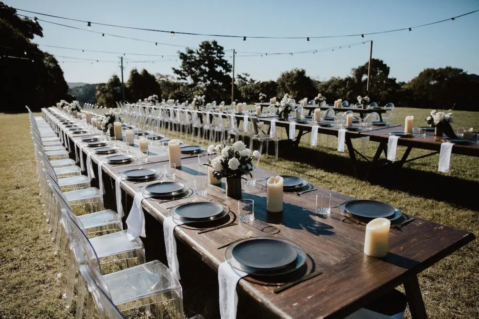 Tailwaggers Rainforest Retreat