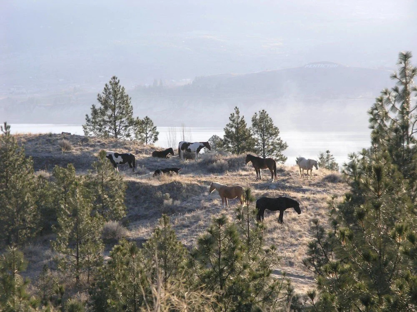 Royal Bed & Breakfast